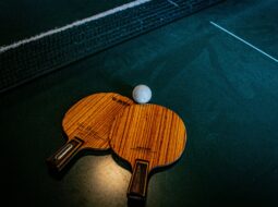 Beyond the Paddle The Mental Game of Ping Pong